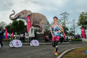 BIB: 
                            <button type="button" onclick="openModal(26528947)" class="btn btn-primary btn-sm float-right btn-popup" data-toggle="modal" data-target=".modal-high-quality">
                        <i class="fas fa-shopping-cart"></i> Add to Cart
                    </button>
                                            <button type="button" onclick="isThisMe(26528947, true)" class="btn btn-success btn-sm float-right btn-popup btn-isme hidden" data-toggle="tooltip" data-placement="bottom" title="นี่คือรูปของคุณใช่ไหม คลิกที่นี่เพื่อเอาเข้าอัลบั้ม">
                        <i class="fas fa-plus"></i> Add to album
                    </button>
                    <button type="button" onclick="isThisMe(26528947, false)" class="btn btn-warning btn-sm float-right btn-popup btn-isnotme hidden">
                        <i class="fas fa-ban"></i> Remove from album
                    </button>